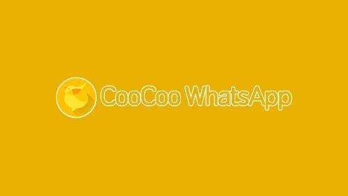 Get to know-Coocoo-WhatsApp